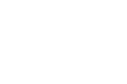 logo Codeleveling