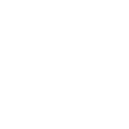 logo Codeleveling